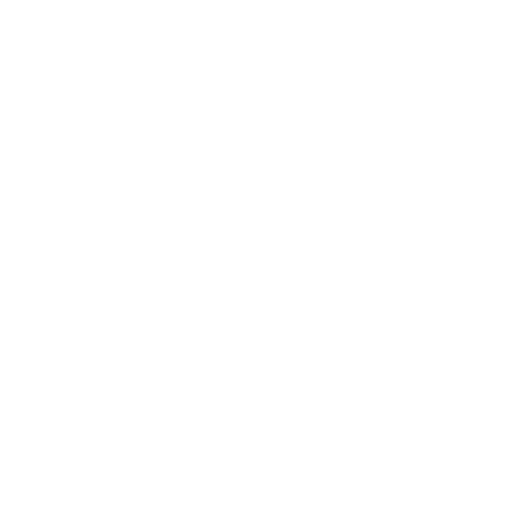 Announcement icon